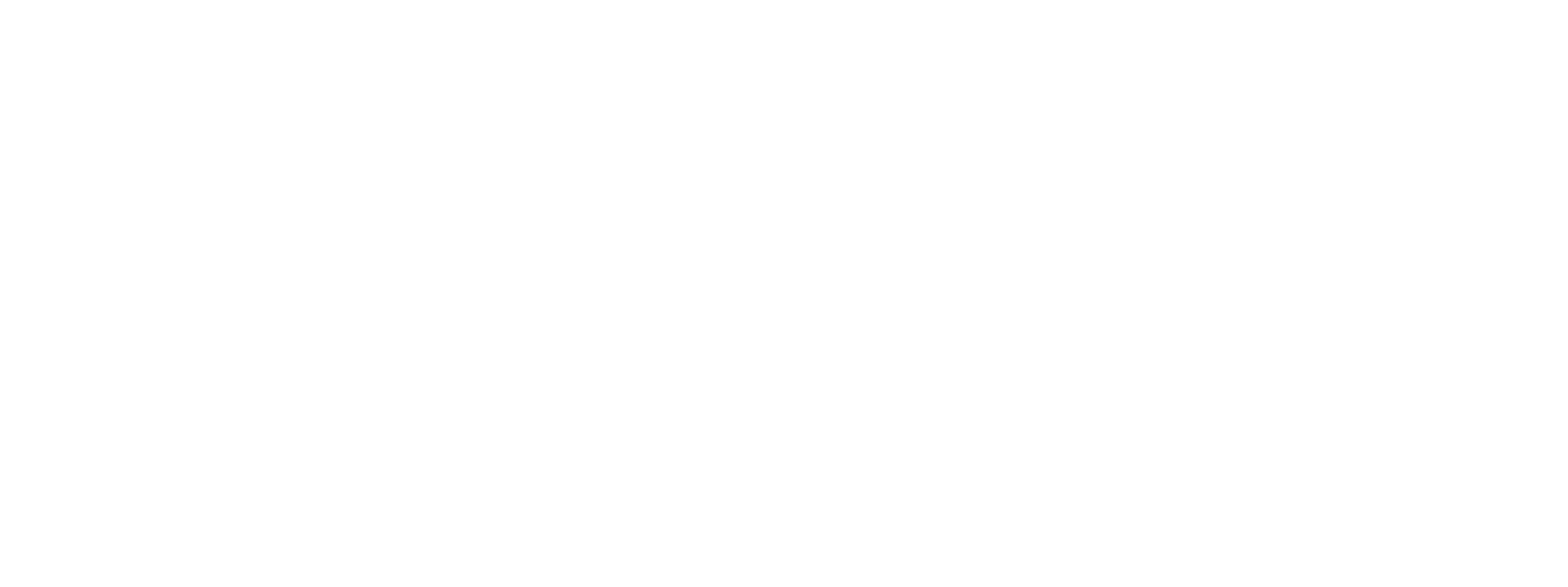 12 Drones Logo